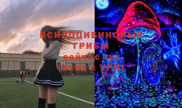 эйфоретик Майский